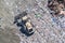 Aerial of bulldozer at work, BC, Canada