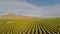 Aerial California Orange Orchards