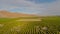 Aerial California Orange Orchards