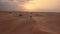 AERIAL. Camera following woman in traditional Emirati dress walking in a desert in strog wind and sunset.