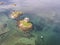 Aerial canoes gathering around the historic castle Stalker in Argyll