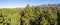 Aerial of the Canopy of a Redwood Forest in California