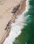 Aerial at Chatham, Cape Cod Showing the Gray and Harbor Seal Colonies