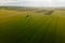 Aerial cinematic clip drone flies rising over a wheat field and High voltage electric towers.