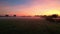 Aerial cinematic clip: drone flying over a farm field during sunrise and morning fog. drone flies over green agriculture