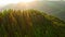 Aerial circle shot of coniferous forest at mountain top. Sunlight lens flare