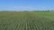 An Aerial Close Up View of Amish Farmlands and Countryside with Corn Fields