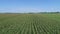 An Aerial Close Up View of Amish Farmlands and Countryside with Corn Fields