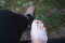 Aerial closeup shot of an injured foot wrapped in gauze on a gloomy day