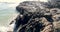 Aerial closeup view of rocks near the sea