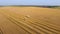 Aerial combine working on wheat field