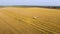 Aerial combine working on wheat field