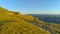 AERIAL: Cool shot from above of extreme cyclist speeding down a grassy hill.