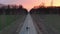 Aerial: Couple walking holding hands on country road between fields and woodland, sunset colorful romantic sky