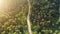 Aerial curvy trail in sunset forest. Tropical jungle road, top down view. Green palm trees. Nature