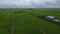 aerial daytime scene at the green paddy field farm