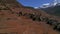 Aerial descending panoramic view bhrala village house settlement with Stupa temple on hilltop and horses on fields