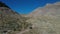 Aerial desert vehicle dirt road Joshua trees Utah 4K