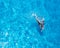 Aerial of dolphins playing in crystal clear aqua blue water, close to the edge of the beach in Australia