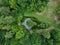 Aerial down view of secret pond in the woods.