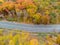 Aerial driveway road in vivid yellow autumn forest