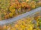 Aerial driveway road in vivid yellow autumn forest