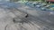 Aerial dron view of a young woman in a swimsuit riding a scooter on a black beach. Tropical landscape is in the