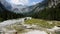 Aerial Drone - Alpine Landscape with Cows