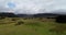 Aerial Drone ascending up the valley towards the Cairngorms National Park