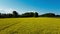 Aerial Drone - Countryside Panorama with Yellow Flowers