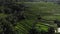 Aerial Drone Flight go up View in rice field on Jatiluwih Rice Terraces, Bali, Indonesia, above rice terraces in sunny