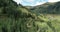 Aerial drone flight in summer over mountain stream in the Nockberge mountains