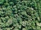 Aerial Drone Flyover View Of Large Green Forest