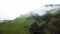 Aerial drone footage of foggy wax palm trees in Cocora Valley, Colombia.