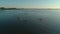 Aerial drone footage. A group of tourists are kayaking. Beautiful sunrise over river