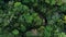 Aerial drone image of the rainforest and a small river at Amboro National Park, Bolivia