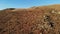 Aerial drone landscape in Nevada desert