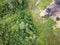 Aerial Drone Photo of the Countryside Forest, Top Down View in S