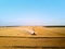 Aerial drone photo of red harvester working in wheat field on sunset. Combine harvesting machine driver cutting crop in