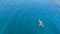 Aerial drone photo of red sport canoes as shot from above in turquoise clear sea