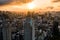 Aerial Drone Photo - Skyline of the city of Tokyo, Japan at sunrise.  Asia