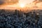 Aerial Drone Photo - Skyline of the city of Tokyo, Japan at sunrise.  Asia