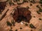 Aerial drone photo - Woman in a wedding dress overlooking a sinkhole in the Utah desert.