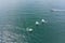 Aerial drone photo of young teenagers on small sailing boats competing in the regatta at mediterranean emerald sea