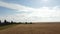 Aerial drone rise over a wheat field