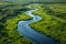 Aerial drone shot capturing the complex network of water channels and lush greenery in a marshland. AI generated.