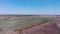 Aerial drone shot of farming fields at sunny day. Agriculture and organic farming concept