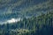 Aerial drone shot of forested hills with bog pines (Pinus mugo)