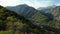 Aerial Drone shot of green forest and mountains in Kazakhstan