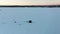 Aerial drone shot mid-air showing a fisherman on the ice and his hut on the frozen river covered of white snow